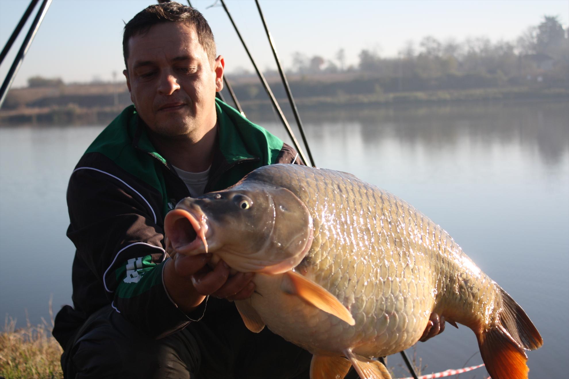 Cupa Iernii MV2 - 2010 - mv2-2010-397.jpg